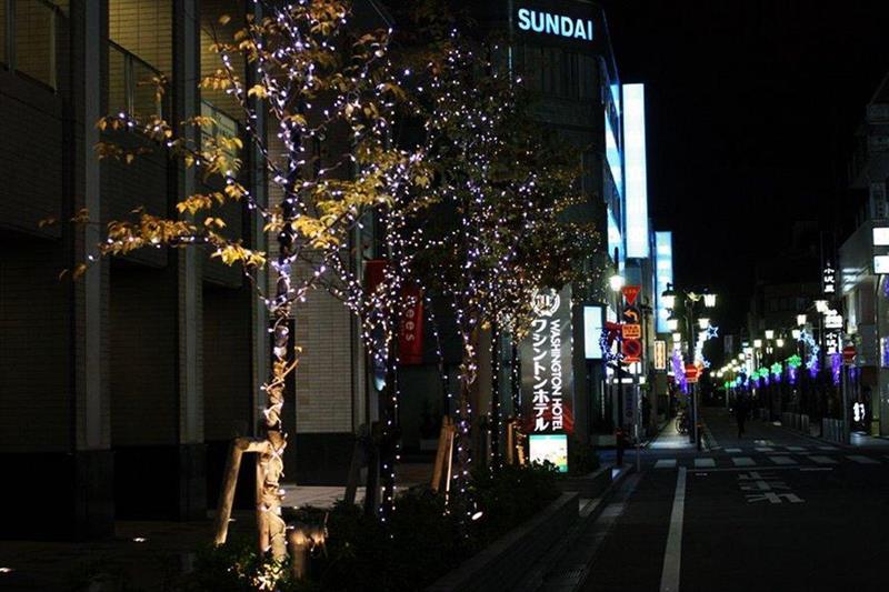 Tachikawa Washington Hotel Εξωτερικό φωτογραφία